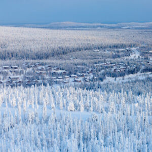 Skitouren durch die Wälder von Rovaniemi