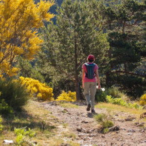Wandern durch San Lorenzo de El Escorial