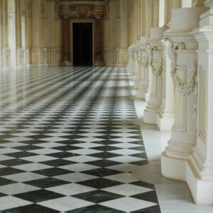 Führung durch den Königspalast von Venaria