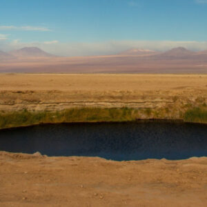 Ausflug zur Lagune von Cejar, Tebenquiche und den Ojos del Salar