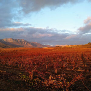 Private Tour von Logroño
