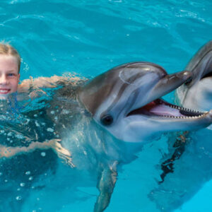 Schwimmen Sie mit Delfinen im Aquaventuras Park