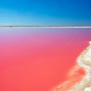 Ausflug nach Las Coloradas