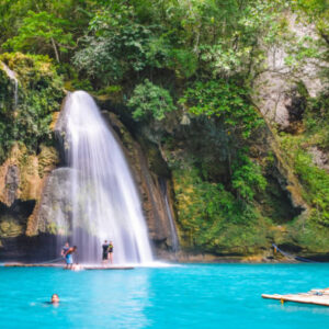Walhai-Beobachtung in Oslob + Kawasan Falls