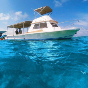 Schnorcheln in Puerto Morelos
