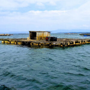 Ausflug zu den Rías Baixas