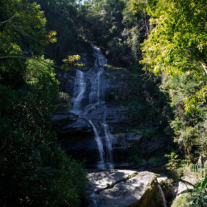 Besichtigung des Botanischen Gartens, des Tijuca-Walds und des Lage-Parks