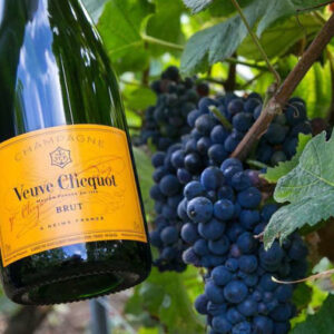 Weingutstour Reims und Veuve Clicquot