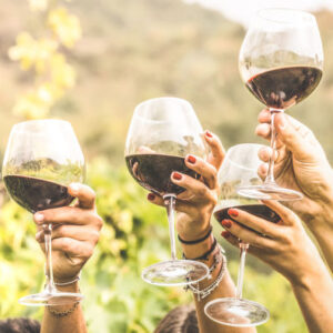 Vogelbeobachtung + Weinprobe