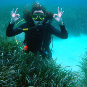PADI Open Water Tauchkurs