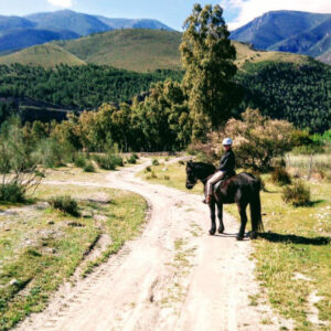 Reiten durch die Alpujarra