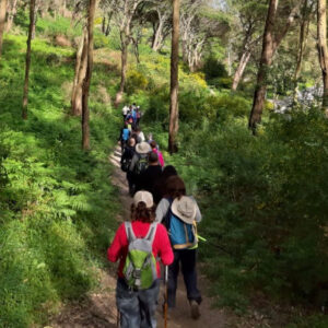 Wandern durch die neomittelalterlichen Festungen