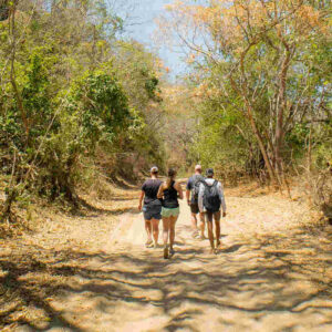 Wandern durch die Blaue Agave + Tequila-Verkostung