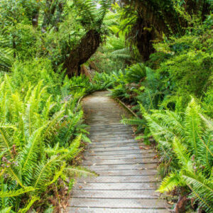Huon Valley und Hastings Caves Tour