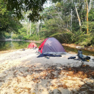 Wandern und Nacht im Amazonas-Regenwald