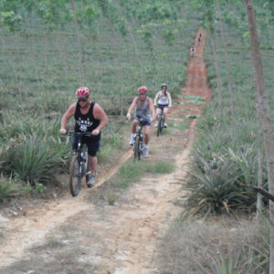 Phuket Dschungel-Radtour