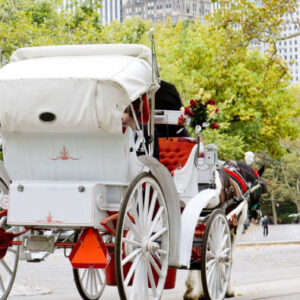 Pferdekutschenfahrt durch den Central Park