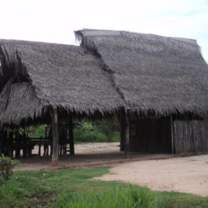 Ausflug zu den Lagunen von Yarinacocha und Pacacocha