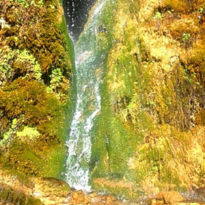 Wandern durch die Quejigares von Barriopedro und Brihuega