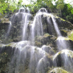 Walhai-Beobachtung in Oslob