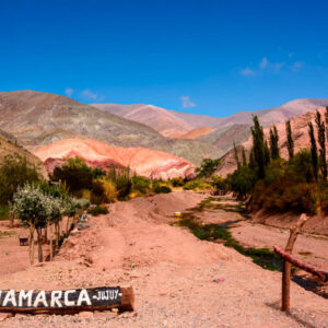 Ausflug zu den Salinas Grandes + Trekking durch Los Colorados
