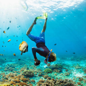 Schnorcheln auf Lord Howe Island