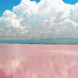 Las Coloradas und Ek Balam + Bootsfahrt durch Río Lagartos