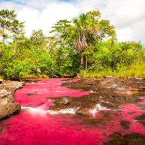 Tour von 3, 4 oder 5 Tagen durch Caño Cristales und Sierra de La Macarena