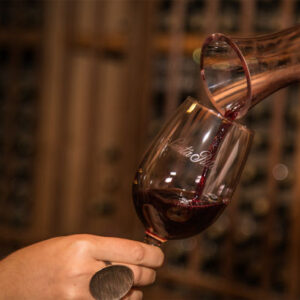 Carménère-Weintour durch das Weingut Viña Santa Rita