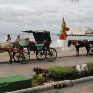 Geführte Tour durch Cozumel