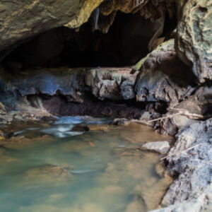 Wandern durch das Palmarito-Tal