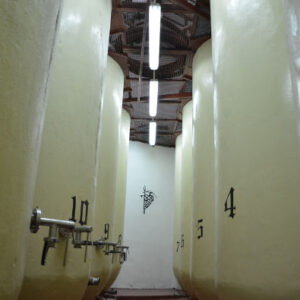 Besuch des Weinguts Campos de Dulcinea