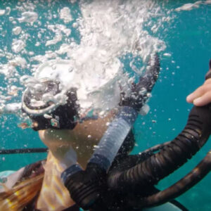 PADI Open Water Tauchkurs