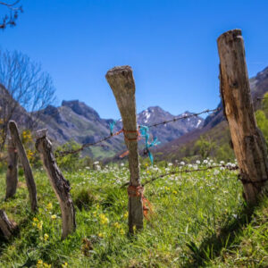Wandern durch den Naturpark Somiedo