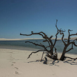 Private Trekkingroute von Barreirinhas nach Atins