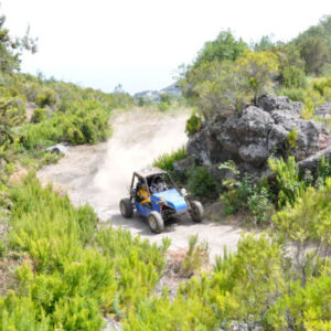 Buggy-Tour ab Breña Alta