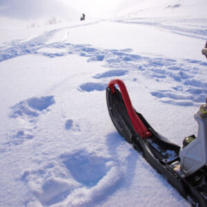 Schneemobilfahrt durch Fairbanks