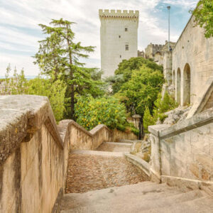 Geführte Tour durch Avignon und den Papstpalast