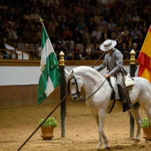 Pferdeshow in Jerez de la Frontera