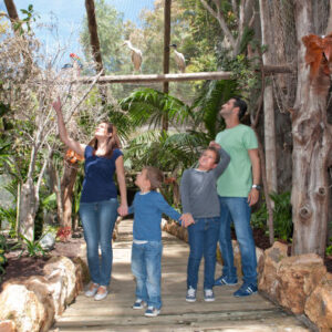 Eingang zum Dschungelpark
