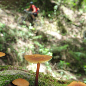 Tour in 4x4 oder Fahrrad entlang des Inka-Trails