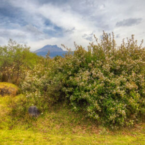 Wandern durch den Nationalpark La Malinche