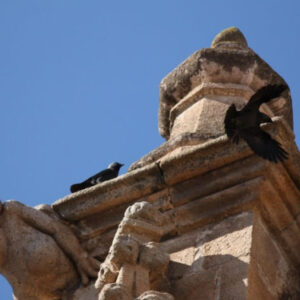 Geführte Tour durch Almendralejo