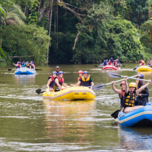 Rafting auf dem Mayo River
