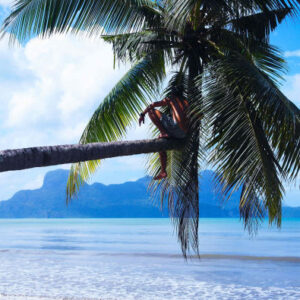Paradies, Exotische und Deutsche Inseln Tour