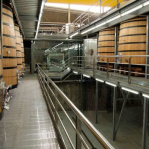 Tour durch die Weinberge der Weingüter Buezo