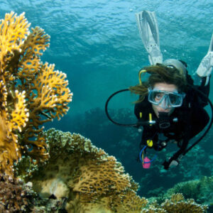 Tauchtaufe auf Lord Howe Island