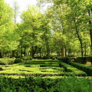 Private Tour durch Aranjuez