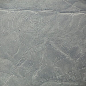 Ausflug nach Ica und Flug über die Nazca-Linien