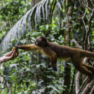 Kajaktour + Monkey Island